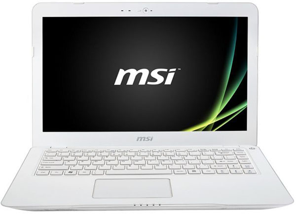 MSI-S30